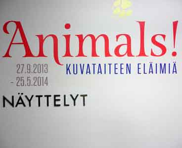 exhibition Animals in Mikkeli Museum