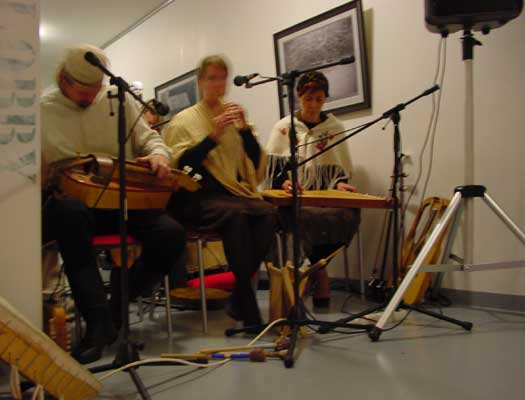 The Ancient Bear Cult and their performance during the annual taidekirppujen y�