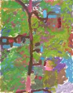 map of the environment