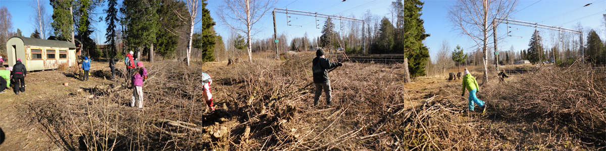 cleaning the yard of Hiirola station